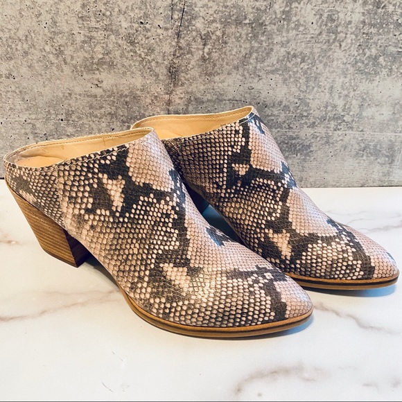 Dolce Vita Rian Snake Print Stella Mules 10 - Picture 6 of 9
